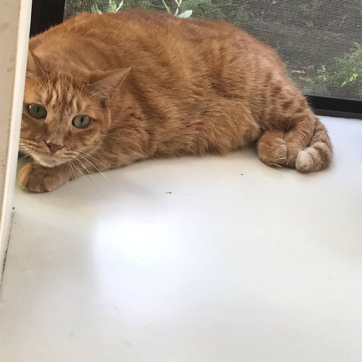 748e4921 247f 486e 8267 6396dabc6977 1632287423261