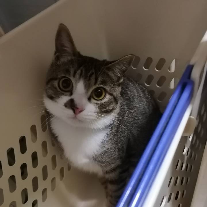 748e5d79 b747 4f0d 9e2c 50ff841441c4 1670962936462