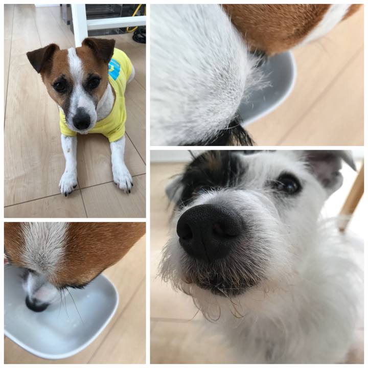 748e8cd4 7a53 44ad a6f8 06678b62651c 1526510824611