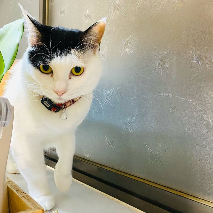 748e9466 9201 4f45 83bf 09b9113a538b 1673096425899