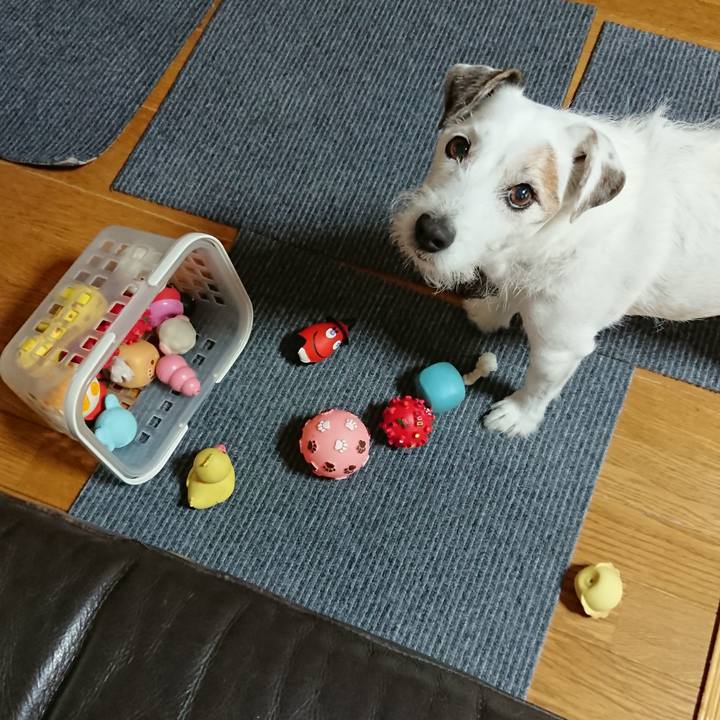 748ea658 86b0 404d 889b 5450c9124d4f 1539733599778