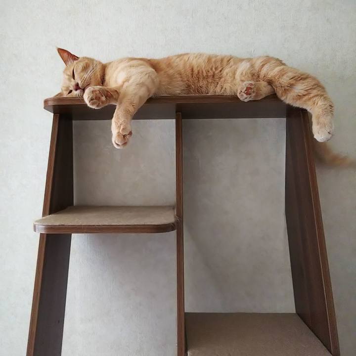 748f18c6 092b 4ff7 931e d34bec62e9ad 1660603788625