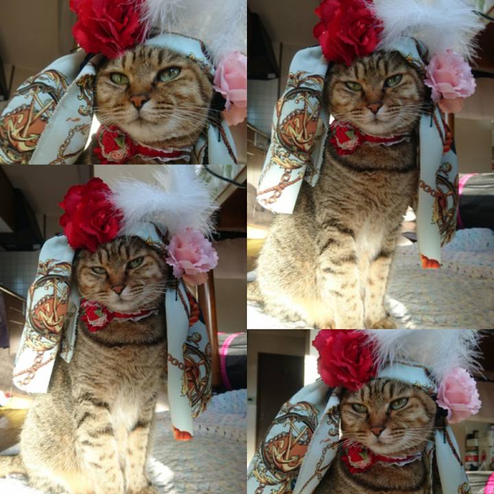 748f40ba ff78 436f 9425 eccfd388d599 1764466991929