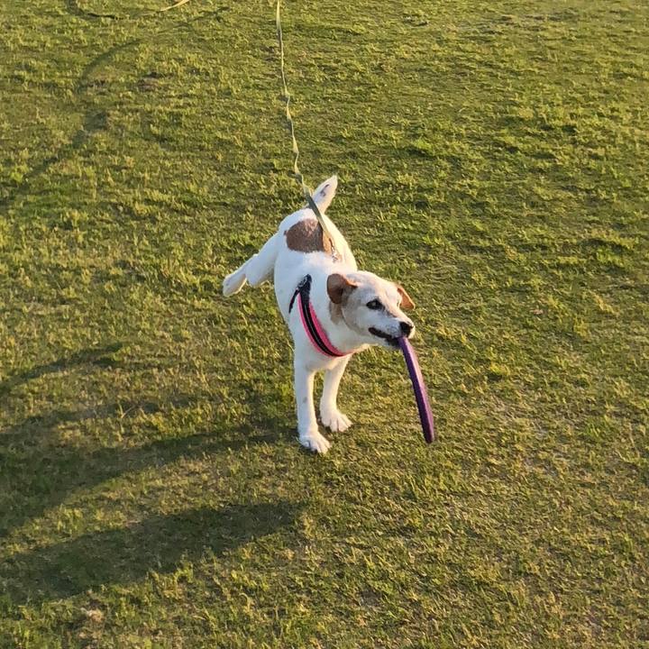 748fa277 6992 4820 8536 c46fcbd727c8 1524921084164