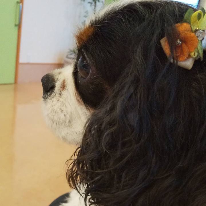 748fa938 2d19 4c6d beab 4d4652300e52 1561790421977