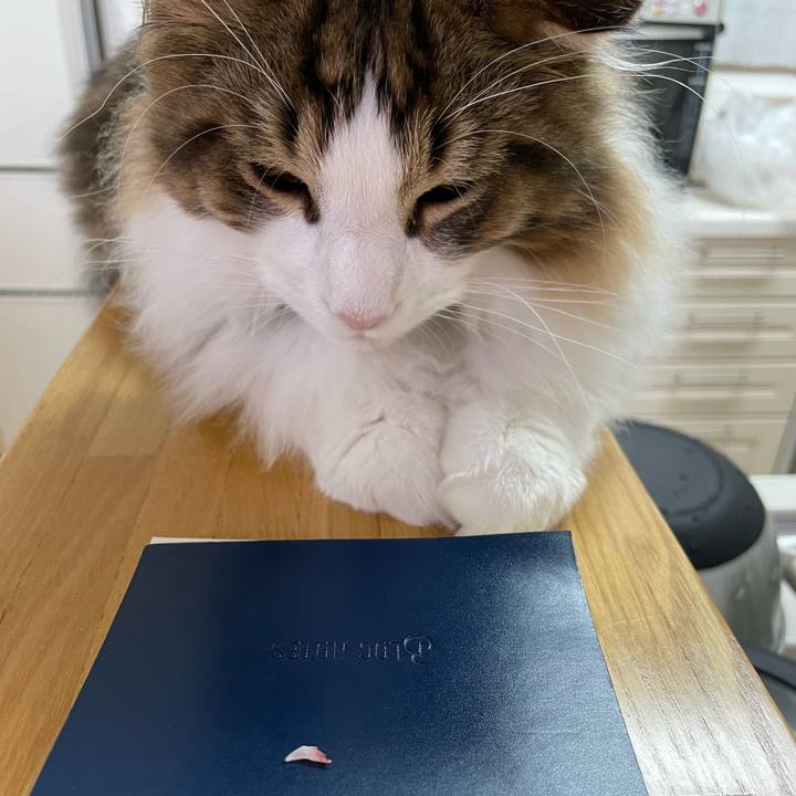 748fbc56 4f29 430b 9457 b1cccc9a4cc1 1639994650542