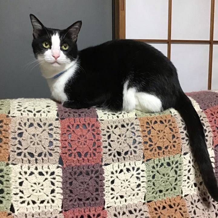 748fc459 f2b6 4f82 adea 83bad097498b 1715513506391