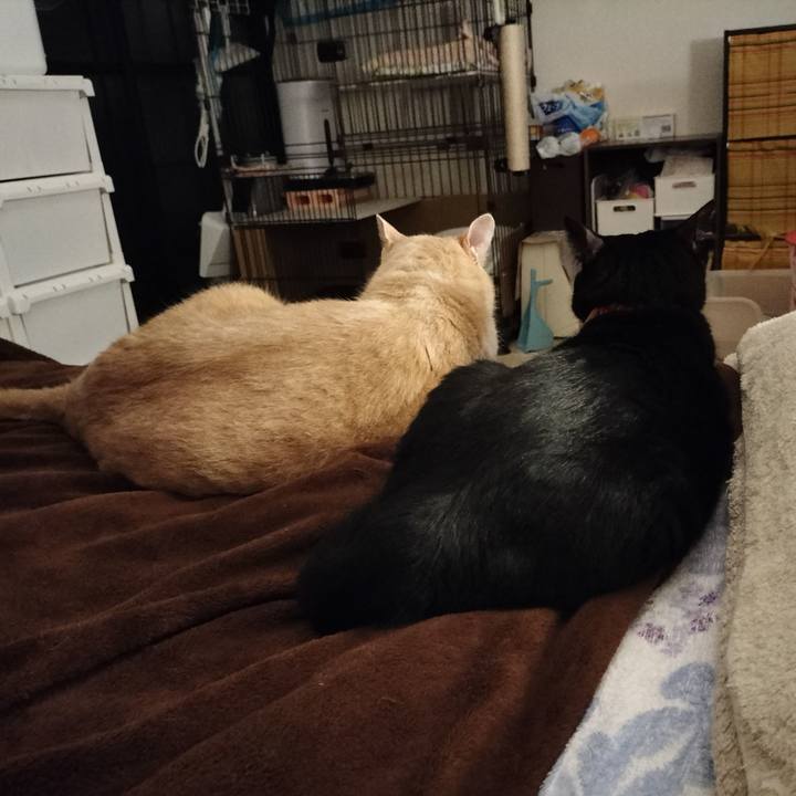 74907011 67ca 466d 9f87 5bf83e3e0375 1632748211630