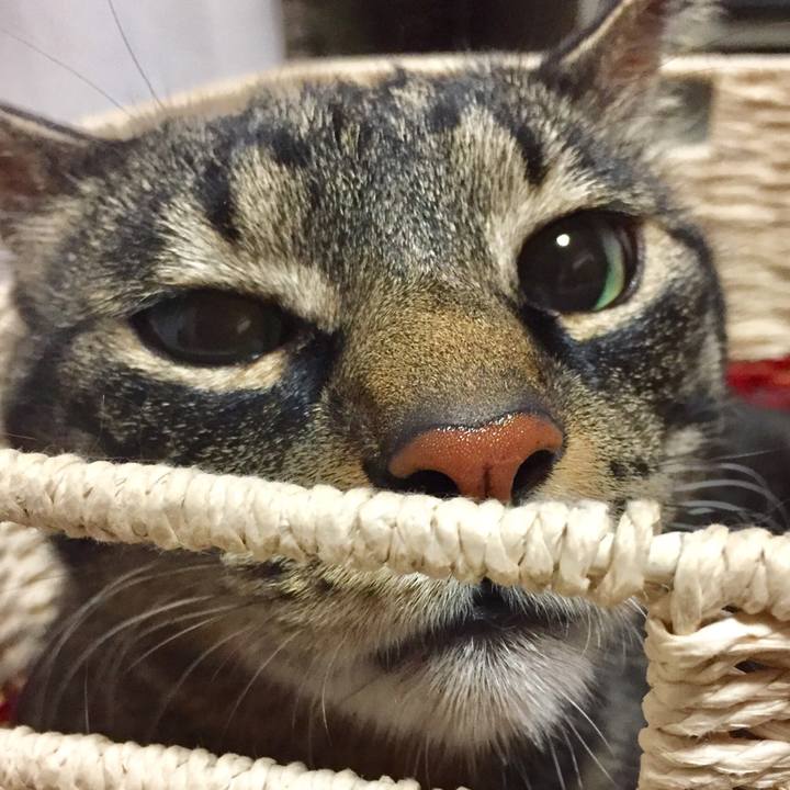 74908bd9 64c8 4c45 a925 ead9cad20898 1528523127606