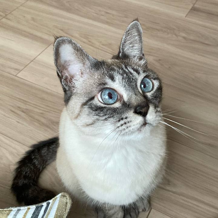 74909402 4371 4be2 bb22 61790794be88 1745135850974