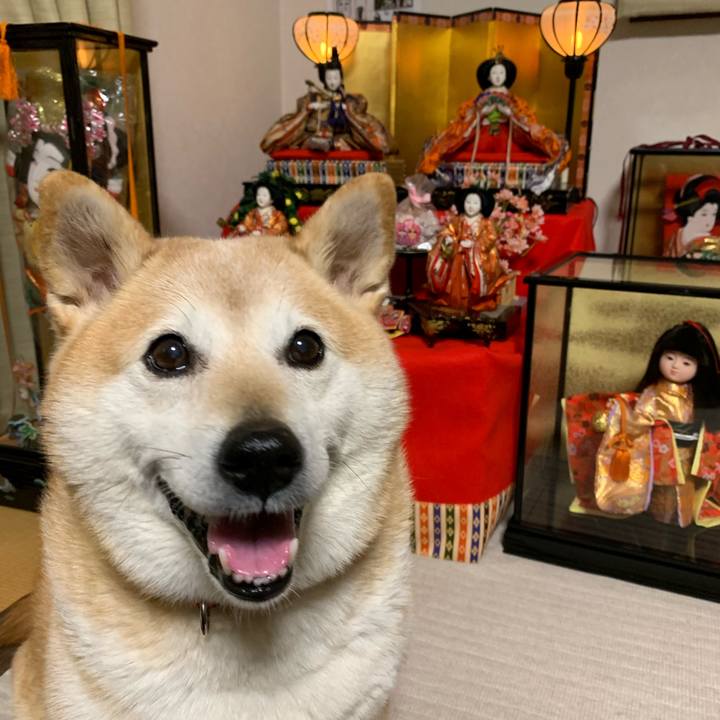 7490a555 d0d2 4716 9320 b6f3eaf24b2d 1551601648033