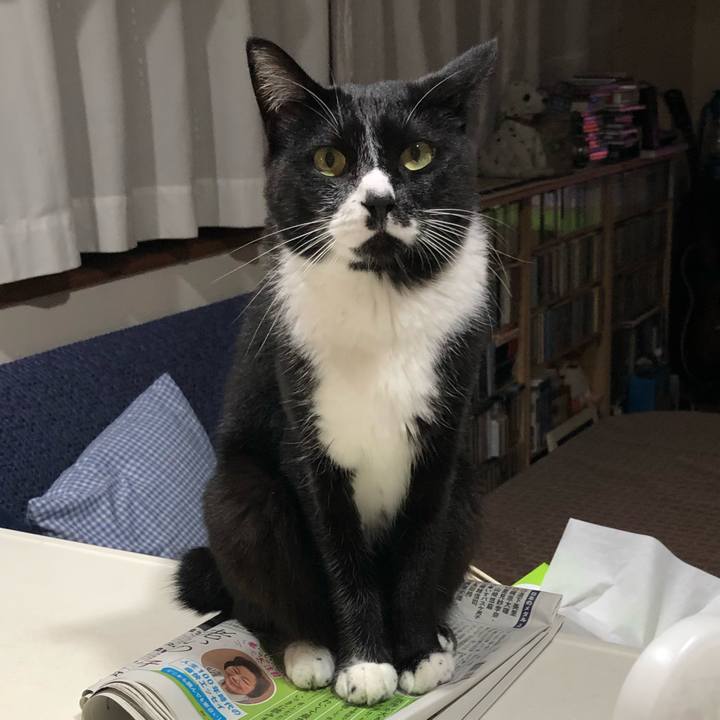 7490bd4a fcd7 4f32 920b 665930000bdd 1633145883478