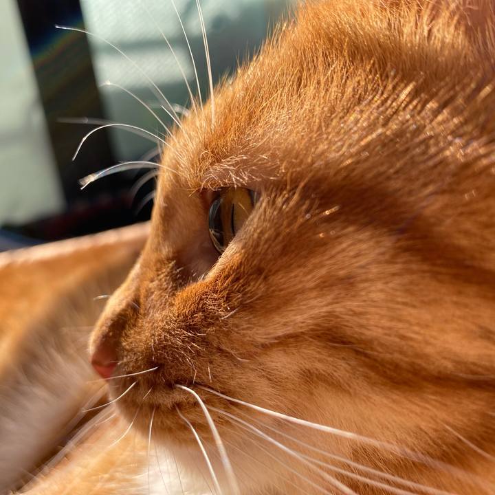 7490cab3 d947 4bef 8f99 ccf47c2a1c4c 1637398333078