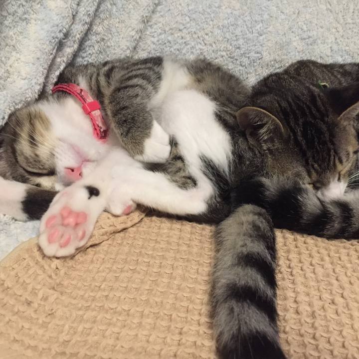 749108a4 f943 44e5 9885 e51044fb6b24 1661922368896