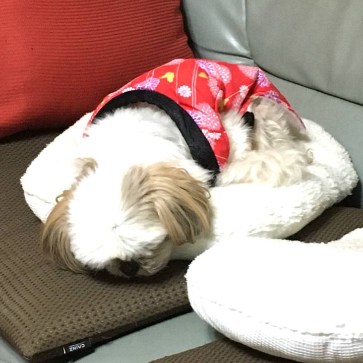 74912309 1084 4330 8664 002c27b85e11 1643108334593