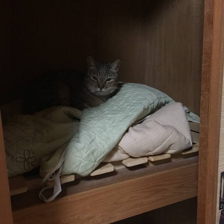 74914614 c015 46c4 b7b4 d8de9a0cd4a7 1521367284098