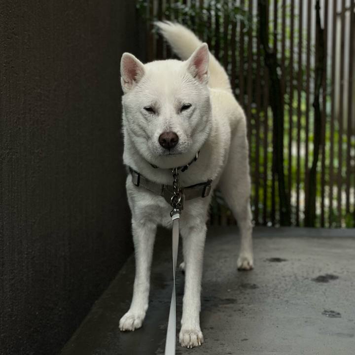 74915817 2fae 4868 820b 97fc9246c4db 1710204074371