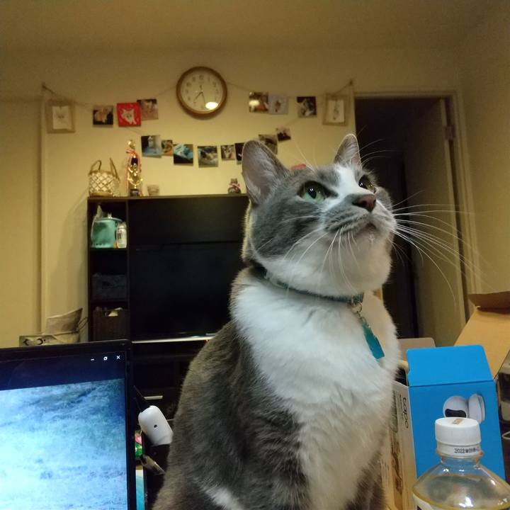 74918157 0c4d 46c4 a370 9ca7de1f56de 1641205877687