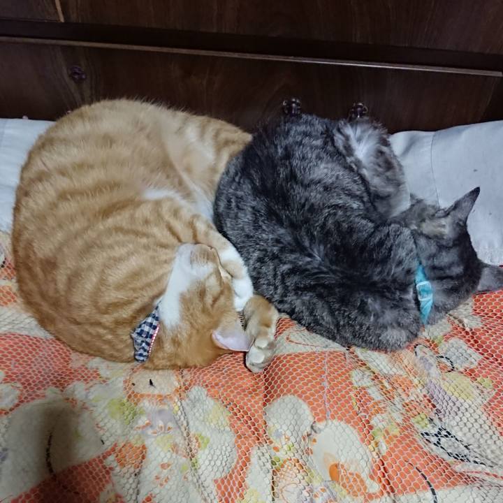 7491857d 7c82 4a95 b06d 55a196b09308 1573046903436