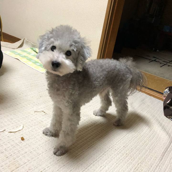 7491ca1a f662 425b a95d 14387b3b03d3 1537798607701