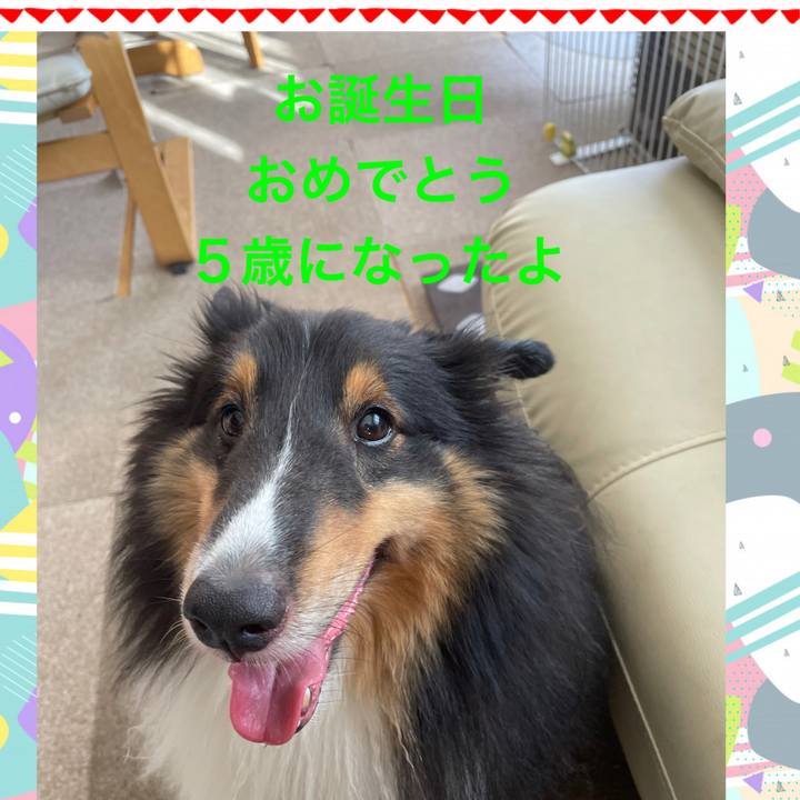 7491d0e5 b496 4579 985f 2b01252d6df4 1660688326671