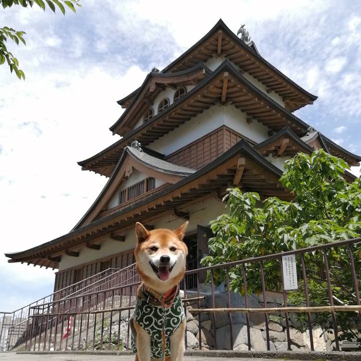 7491d786 dcae 47ef bf12 dd99cebd8e89 1688649609395