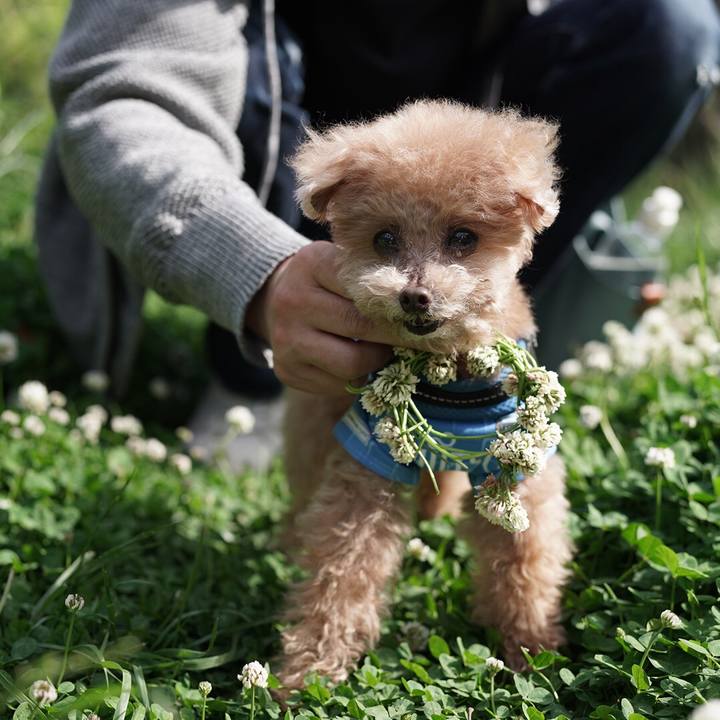 749249fc 9400 4685 abc1 7cfe2baa11c5 1697253627363