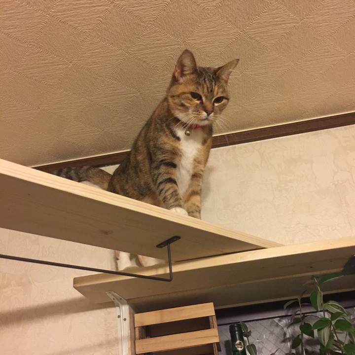 74925eee 1c63 4f4c 9e73 8e304b38be0d 1550999659688