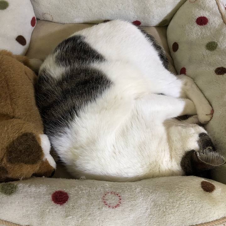 749280f5 cb2f 47dc 899f 1adbbee4595b 1679666055128