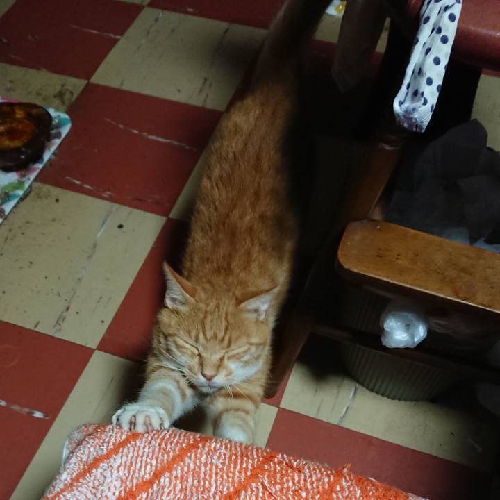 74928262 e435 435a 8baf 076c762b422c 1595707519631