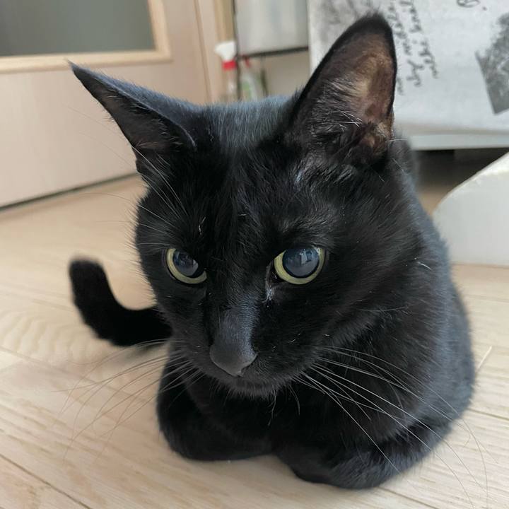 74929586 f845 406a b433 8768a3e781ed 1735901702417