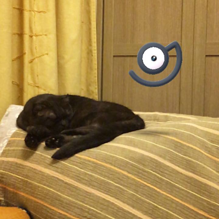 74929e1c da4c 4263 9633 cc5575c48b25 1532780971296