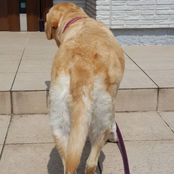 7492a8f6 5bc1 4284 b831 fb6f746e6ad1 1553655907835