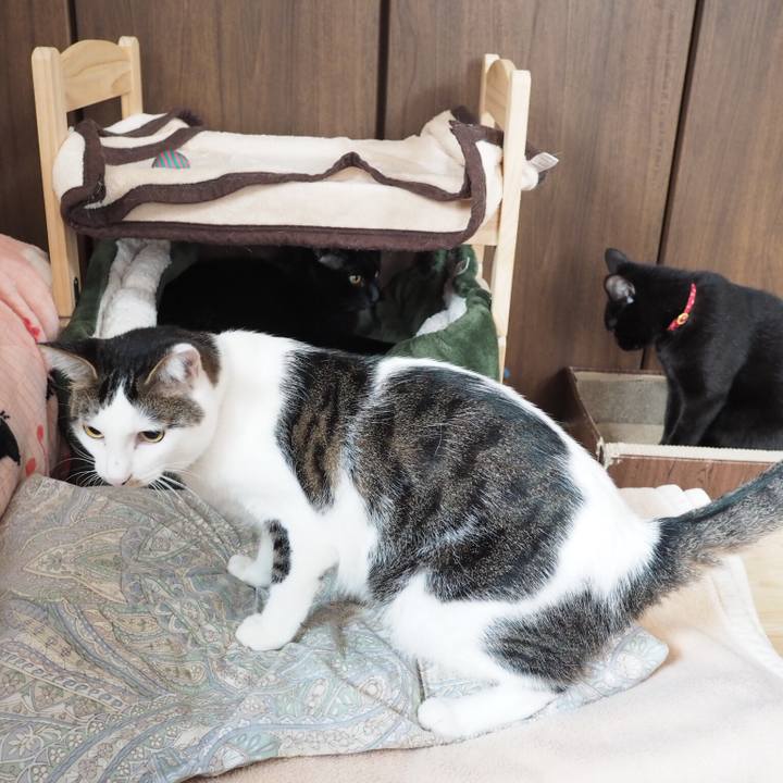 7492ab7d c9e7 4980 bf4d cbb2ef416a72 1539905555421