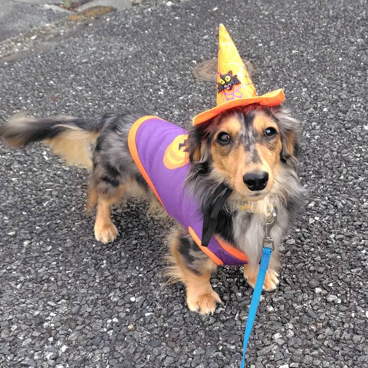 7492ba2c 652e 4e7b bb81 3d5dde412359 1761867703140