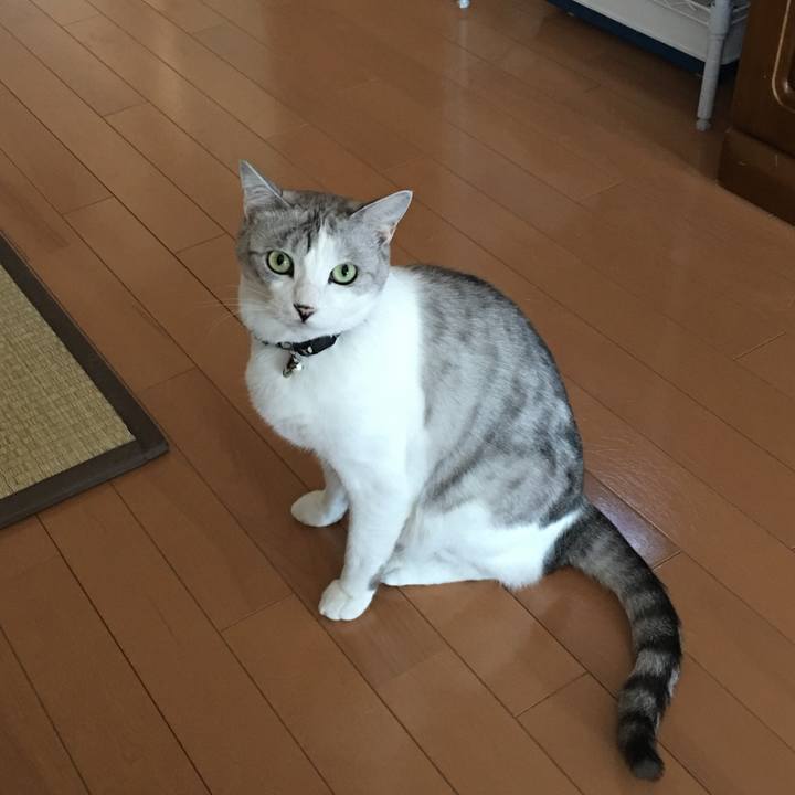 7492d141 905a 40fc 95da 0b8af1137acf 1554794118513