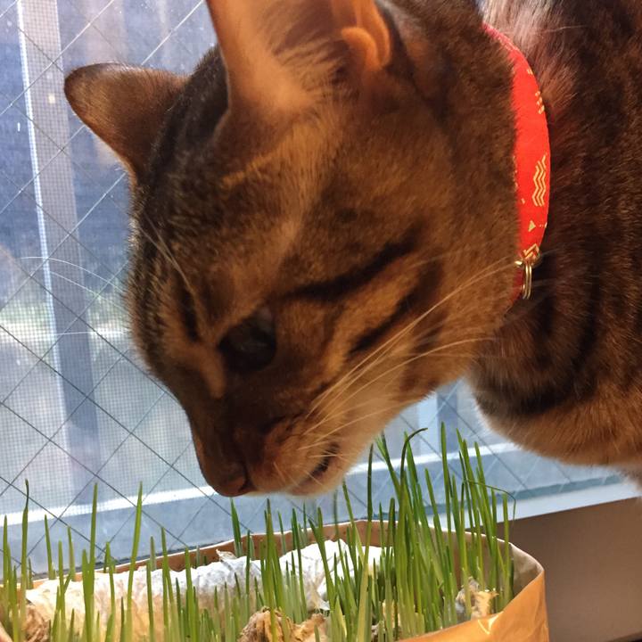 7492d3f5 22a7 4b14 b3df bfc0b48d05c1 1541459655253