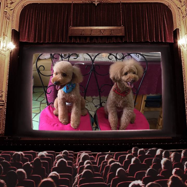 7492d950 ca44 43d2 b23e 0293343f187b 1508403696517