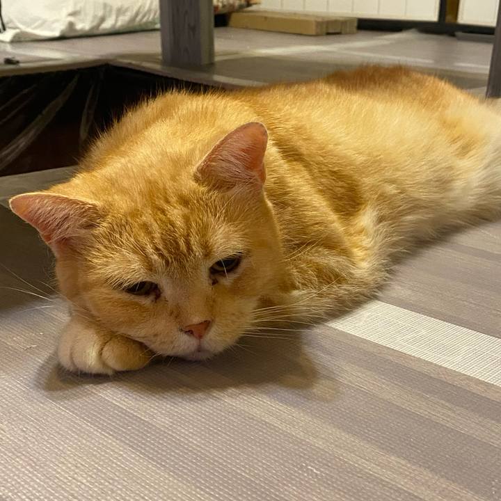 74930169 4b2d 4e73 9b71 dbe708927da6 1627312686236