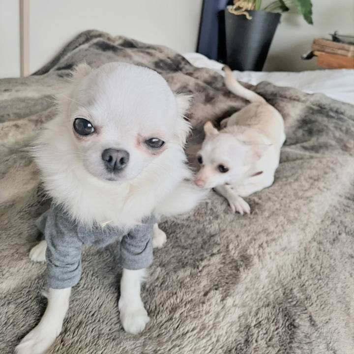 74932bd9 7657 42ef a9e6 f689c1f0fe2d 1747623602577