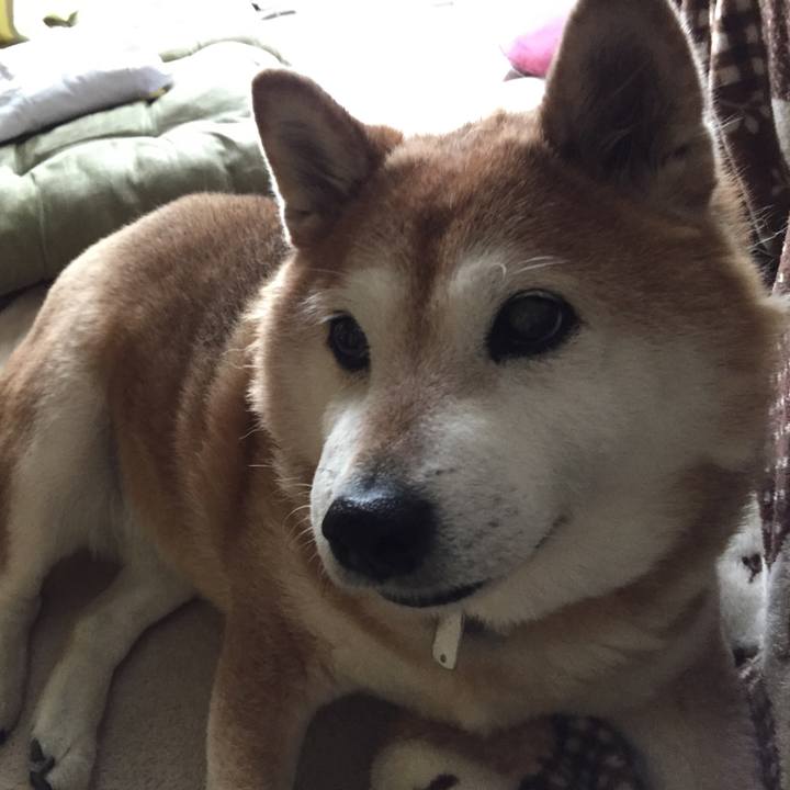 74936c70 5e8d 4760 94c2 c17a8309241f 1550878517604