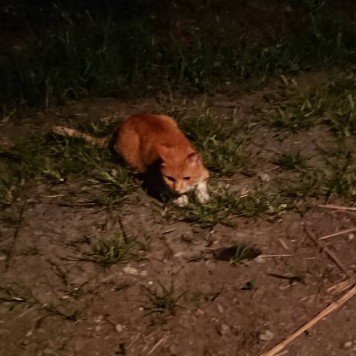 74938dcf 5574 407e baa8 bf02ce186549 1599559608701