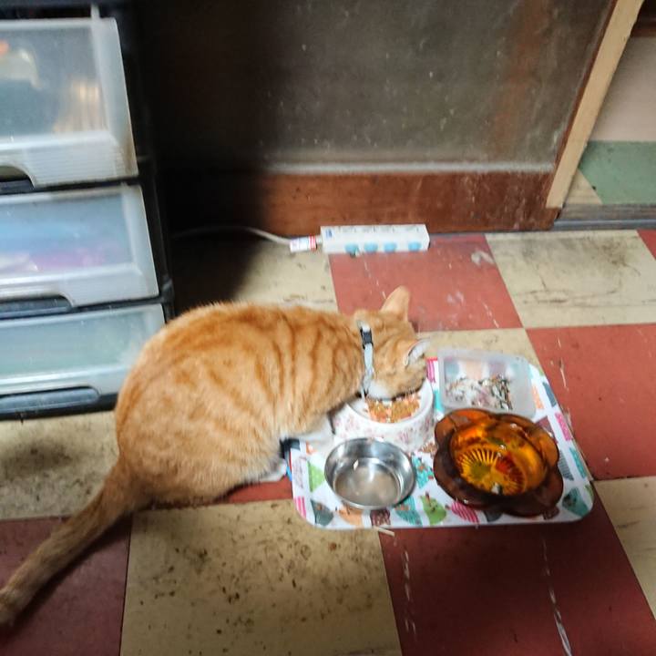 7493960d 5767 430f bb64 4d44642d4e12 1591040671594