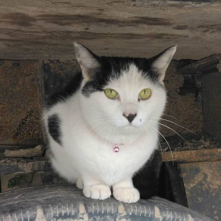 749396d6 aa5d 4bdf 8860 183213b9dae6 1680393066593