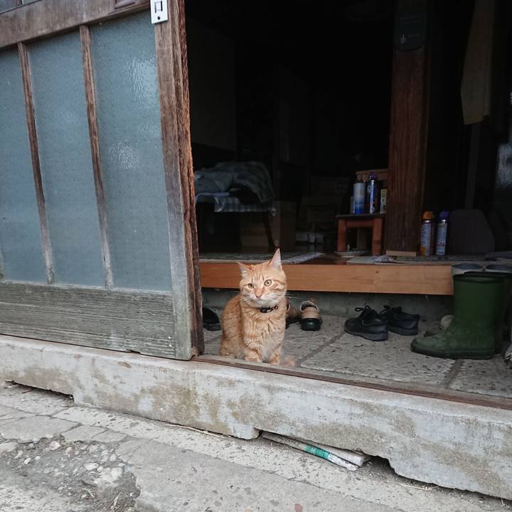 7493a18d acdf 4f61 a251 f2ea5bf13b36 1659474655782