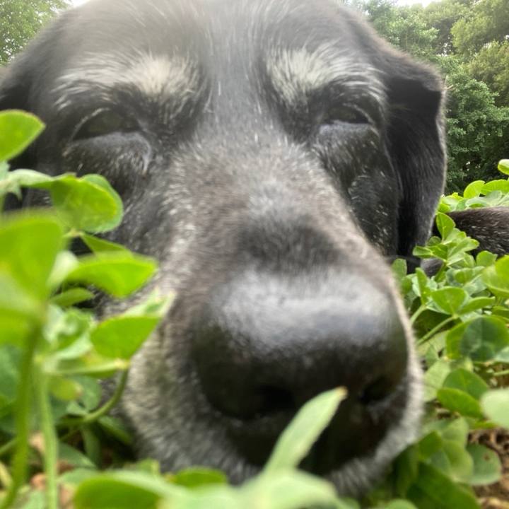 7493af1f 4d46 4a43 b738 079bf76fb28a 1752562301646