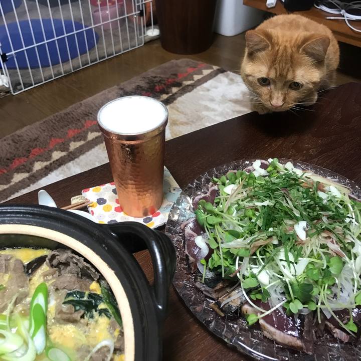 7493e0ff 6d91 4b4f 86ef 956c7c4ea9f7 1524138471989