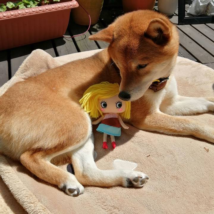 7493e53a 9df3 436e b249 6a8a69dfea0e 1590652680969