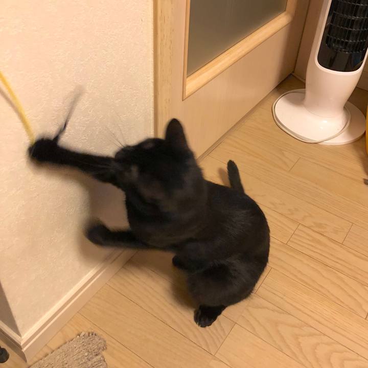 7493f3ba 1718 401d 9ea9 f5521a258c56 1536249059431