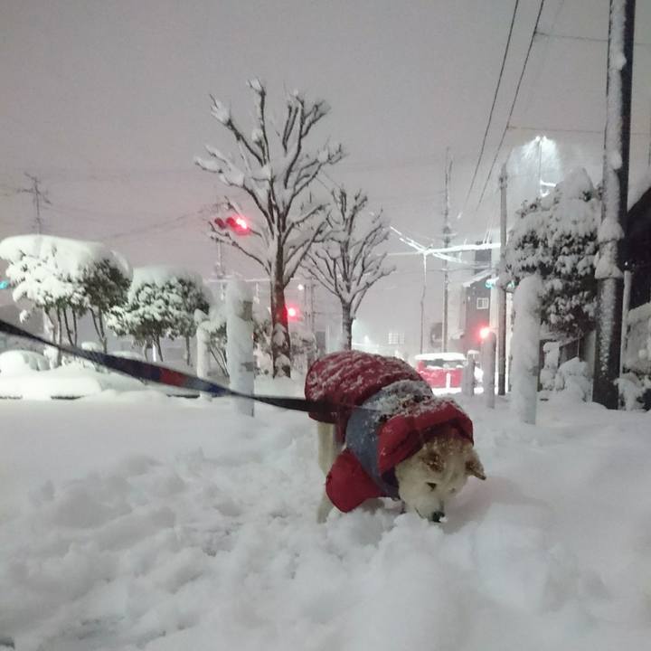 7494085e e03e 45ab 9d75 444811321e2a 1517120820565